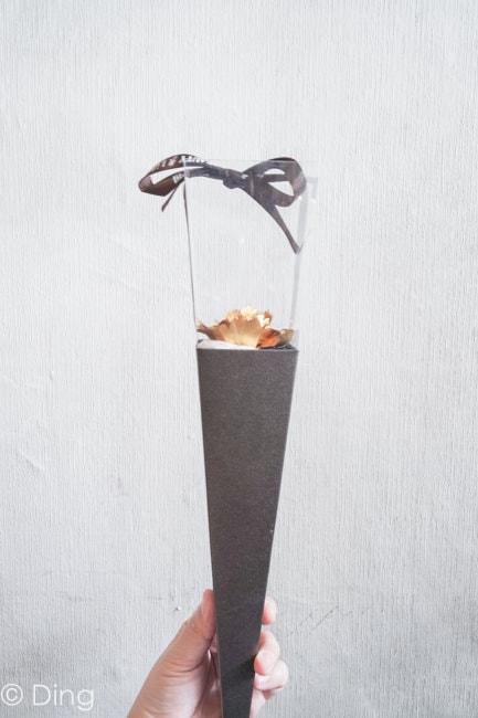 20251002-gvbvp 20251002-gvbvp