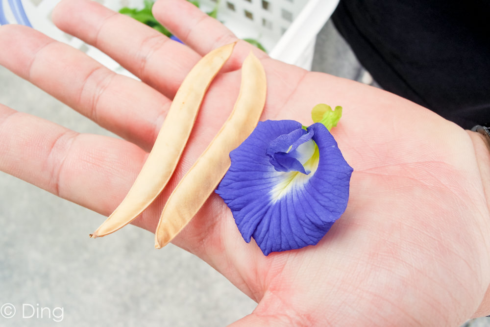 彰化一日遊景點推薦 花壇鄉必吃新鮮蔬菜、海鮮的神農鍋物，還有必逛的北中南農產品串連的「新農匯神農物流市集」。