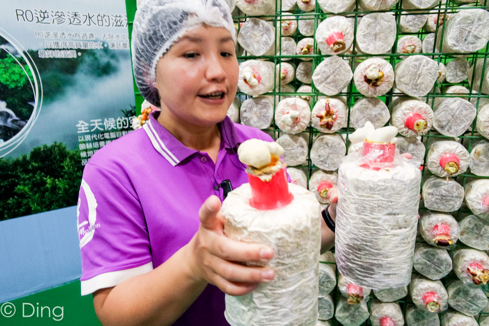 彰化一日遊景點推薦 適合親子同樂，有小火車、種菇體驗課程，香菇導覽活動，有菇菇冰淇淋，豐富伴手禮可以購買，「魔菇部落生態休閒農場」。
