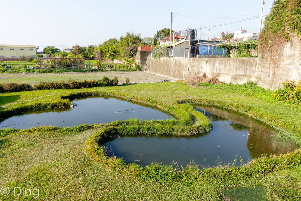 彰化旅遊 打卡景點 「大村雙心池塘」，網美打卡必訪拍照點，適合情侶、親子。