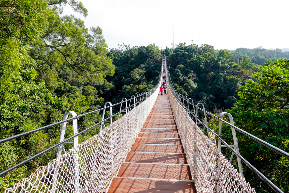 南投旅遊景點 漫步雲端「猴探井天空之橋（微笑天梯）」，景色優美，適合親子、家庭出遊，來享受愜意的時光吧～