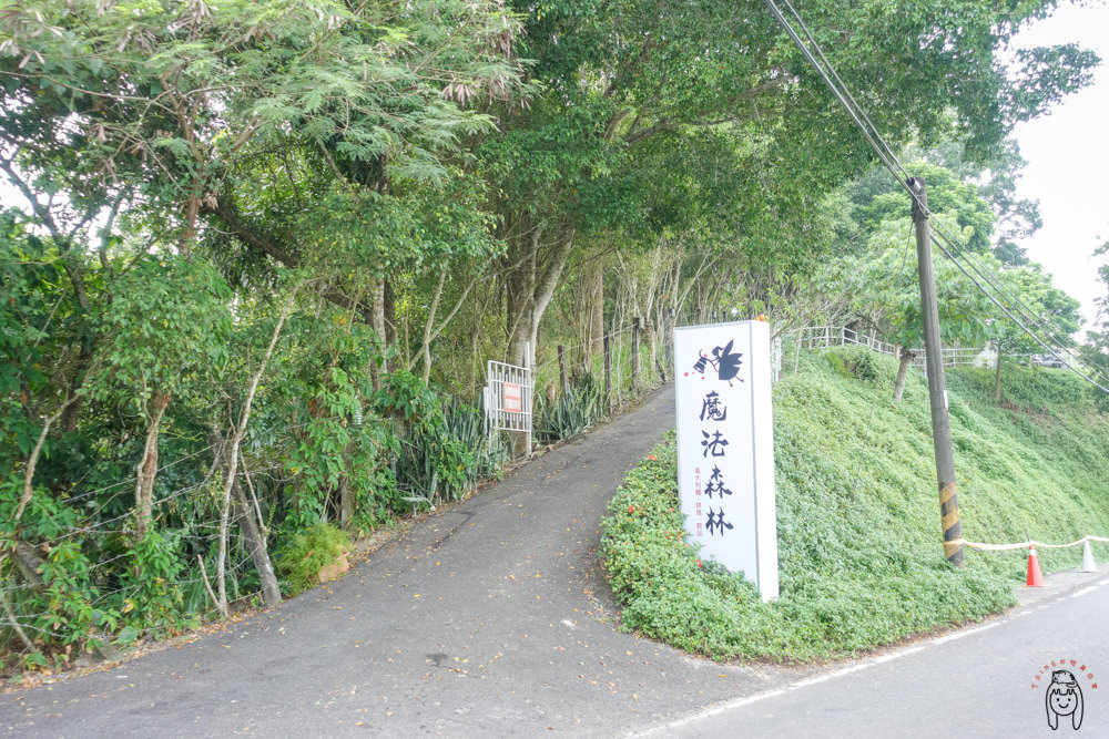 台南玉井景點 隱藏在山林預約制「魔法森林景觀咖啡小餐館」，純白色玻璃天空步道，美到不行的景觀餐廳。