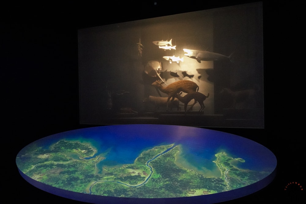 20251002-49lf7 20251002-49lf7