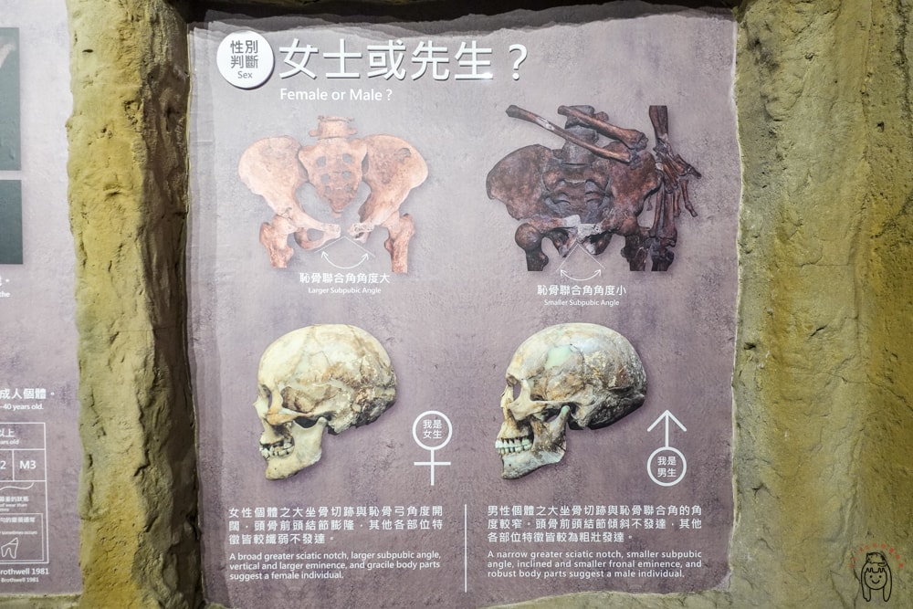 20251002-m748a 20251002-m748a