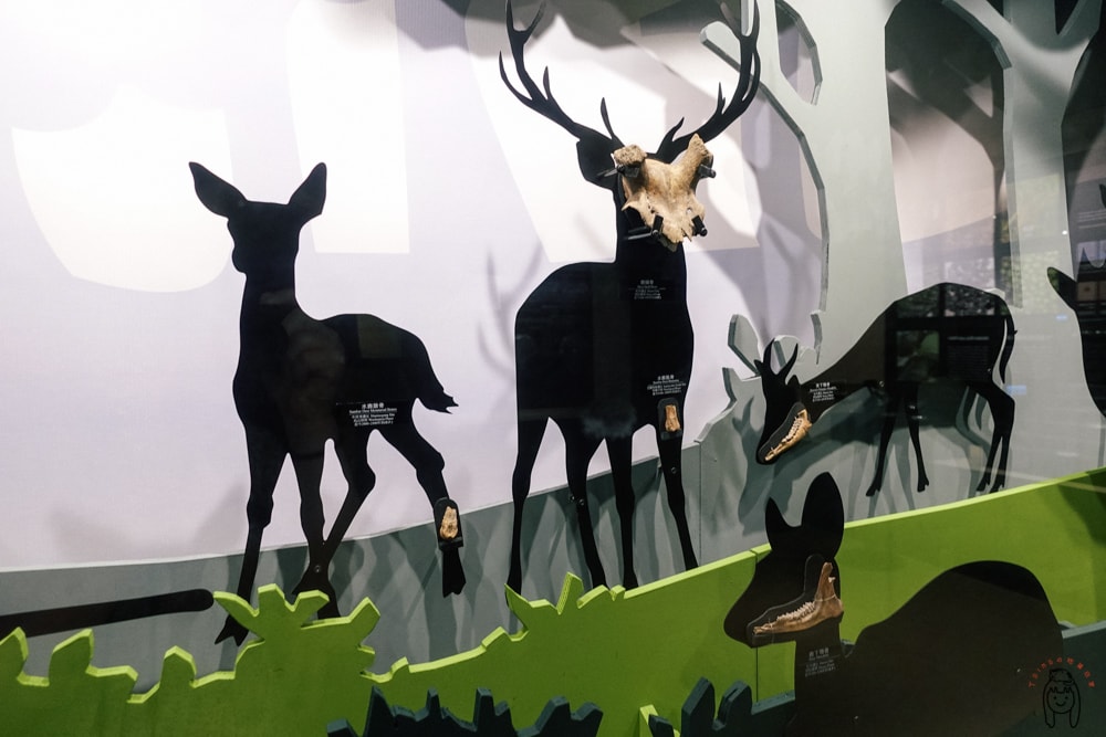 20251002-ort6l 20251002-ort6l