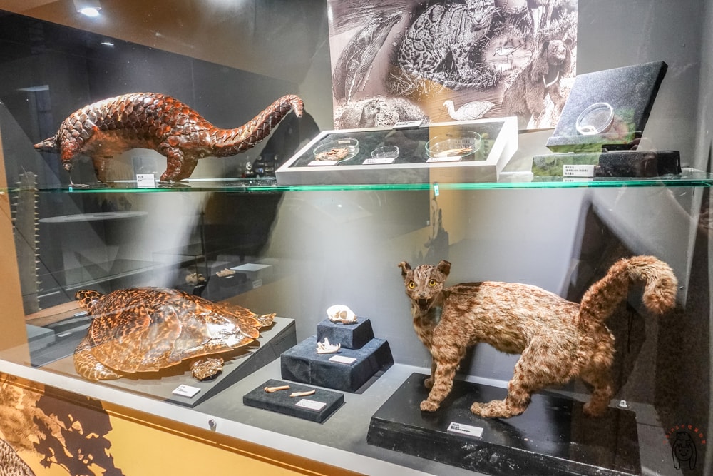 20251002-q4kg0 20251002-q4kg0