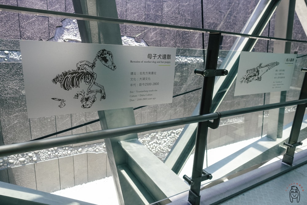 20251002-ztj26 20251002-ztj26