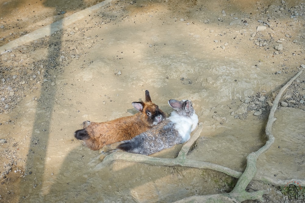 20251002-0kkjw 20251002-0kkjw