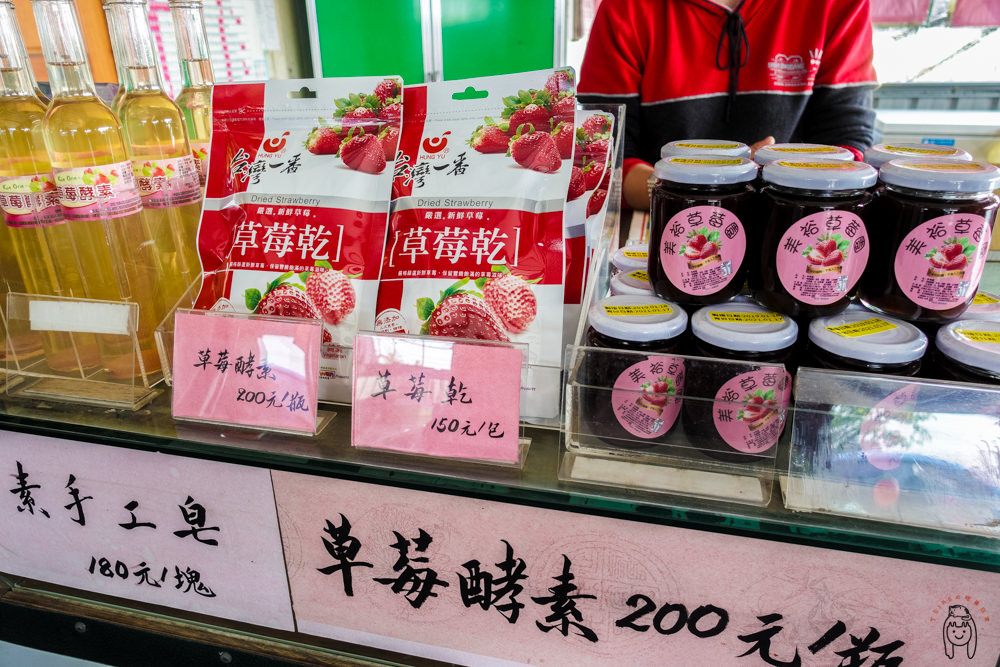 台南善化一日遊 美裕草莓園，趁草莓季過年去善化採草莓！還可以吃草莓冰淇淋、草莓香腸、草莓大福喔！