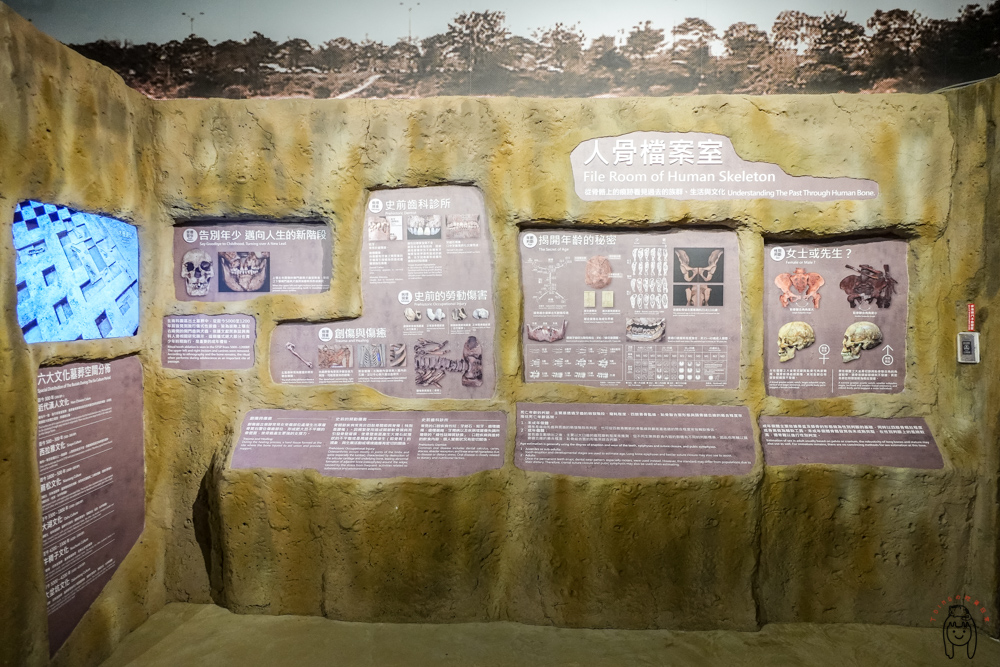 台南博物館 南科考古館，寓教於樂好去處，充滿特色隱藏版打卡點，提供完整停車交通資訊、展出時間、設施介紹。
