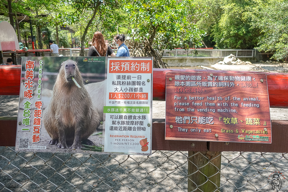 台南一日遊景點 | 學甲頑皮世界野生動物園，可以跟長頸鹿、水豚近距離餵食接觸，安排親子旅遊療癒一下吧！