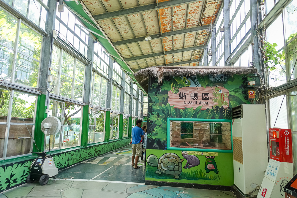 台南一日遊景點 | 學甲頑皮世界野生動物園，可以跟長頸鹿、水豚近距離餵食接觸，安排親子旅遊療癒一下吧！