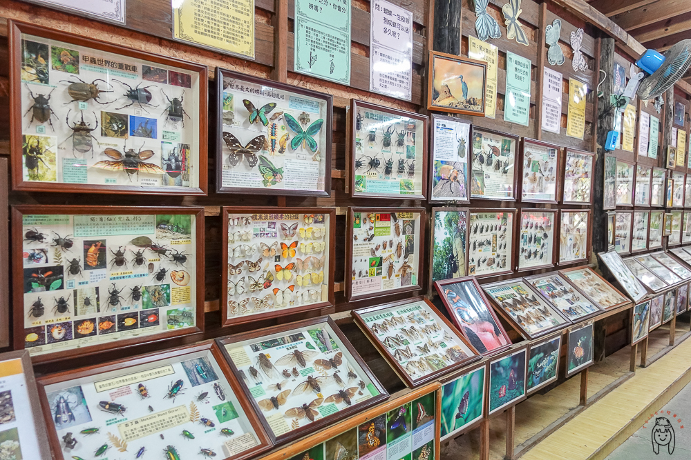 嘉義景點 | 綠盈牧場，適合親子旅遊好去處，門票只要$50可抵消費，有可愛動物等著你餵食，還有美美LOVE鎖教堂、溜滑梯可以玩！
