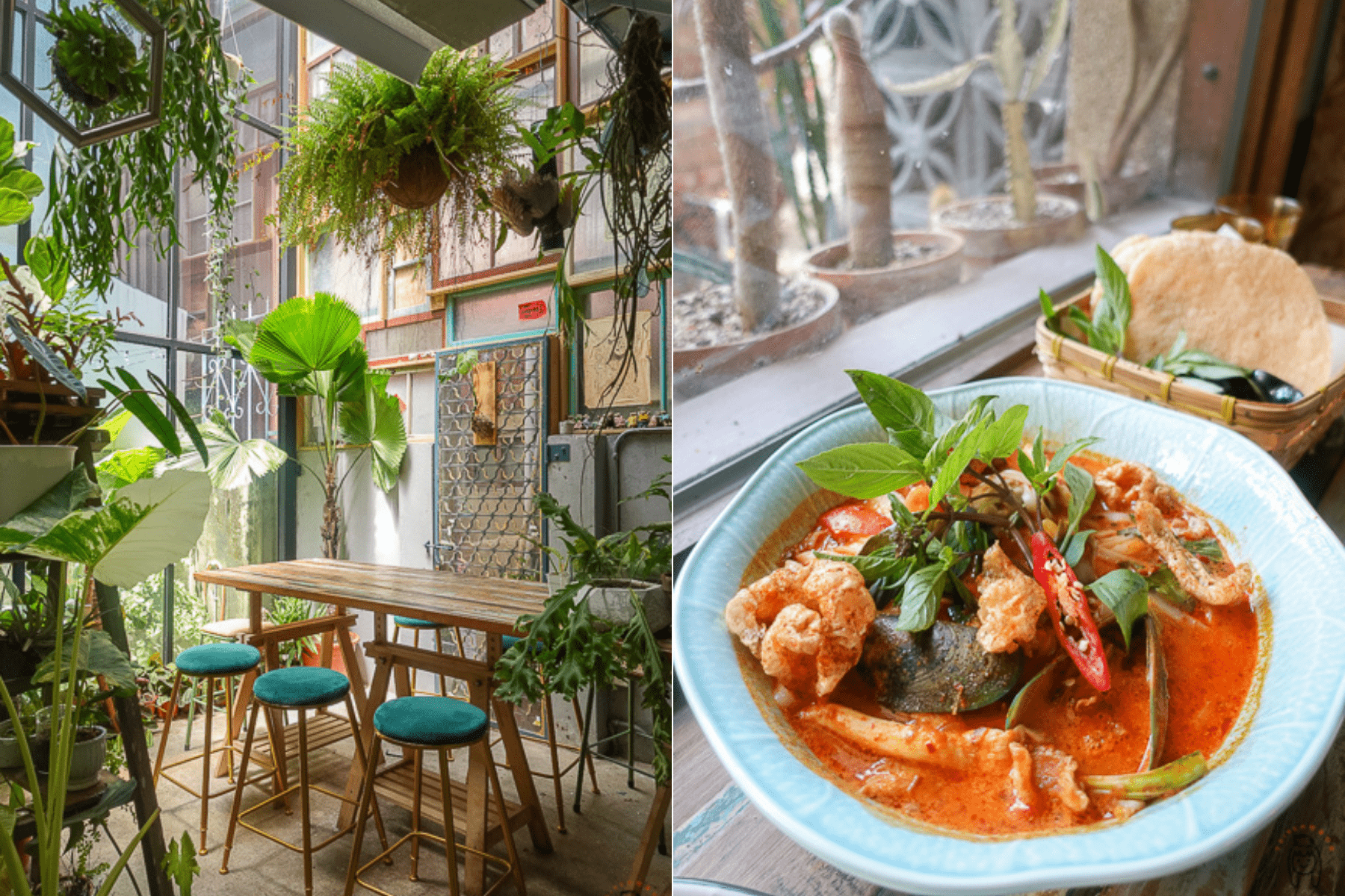 台南中西區泰式料理｜植感大叔的日常，一週僅營業三天，預約制泰式料理，可享受被植栽、花包圍的用餐空間。