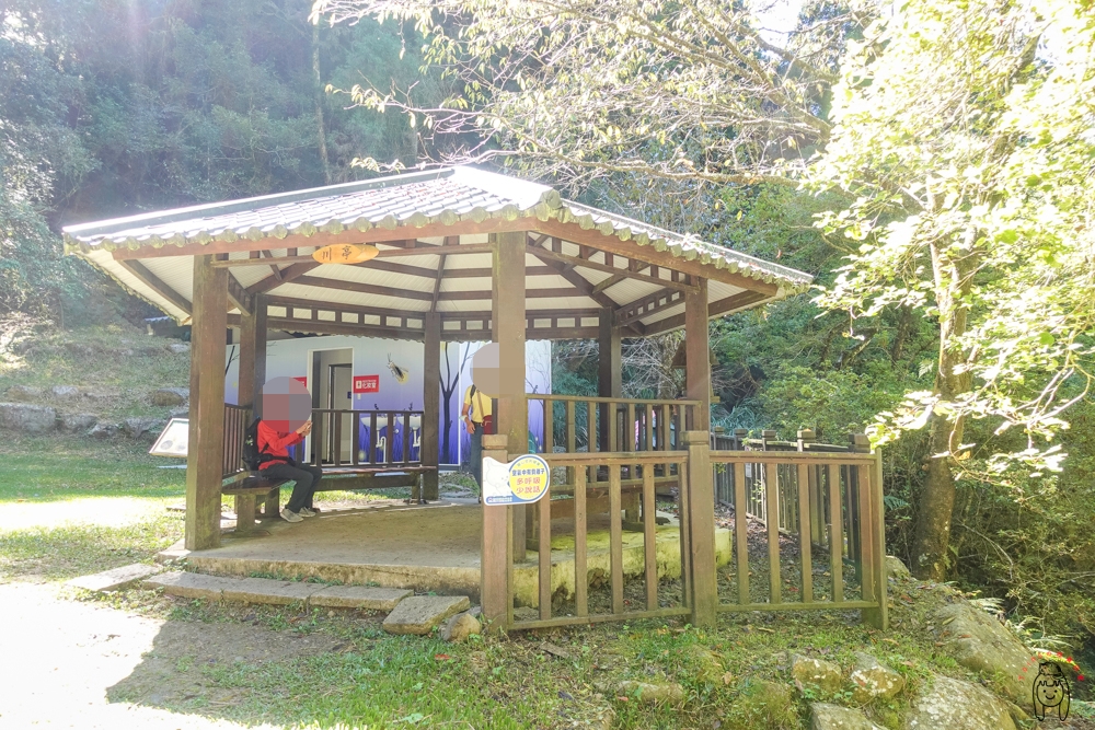 南投景點｜杉林溪森林生態渡假園區攻略，快把握最後賞楓季，想健行賞花都可以喔！